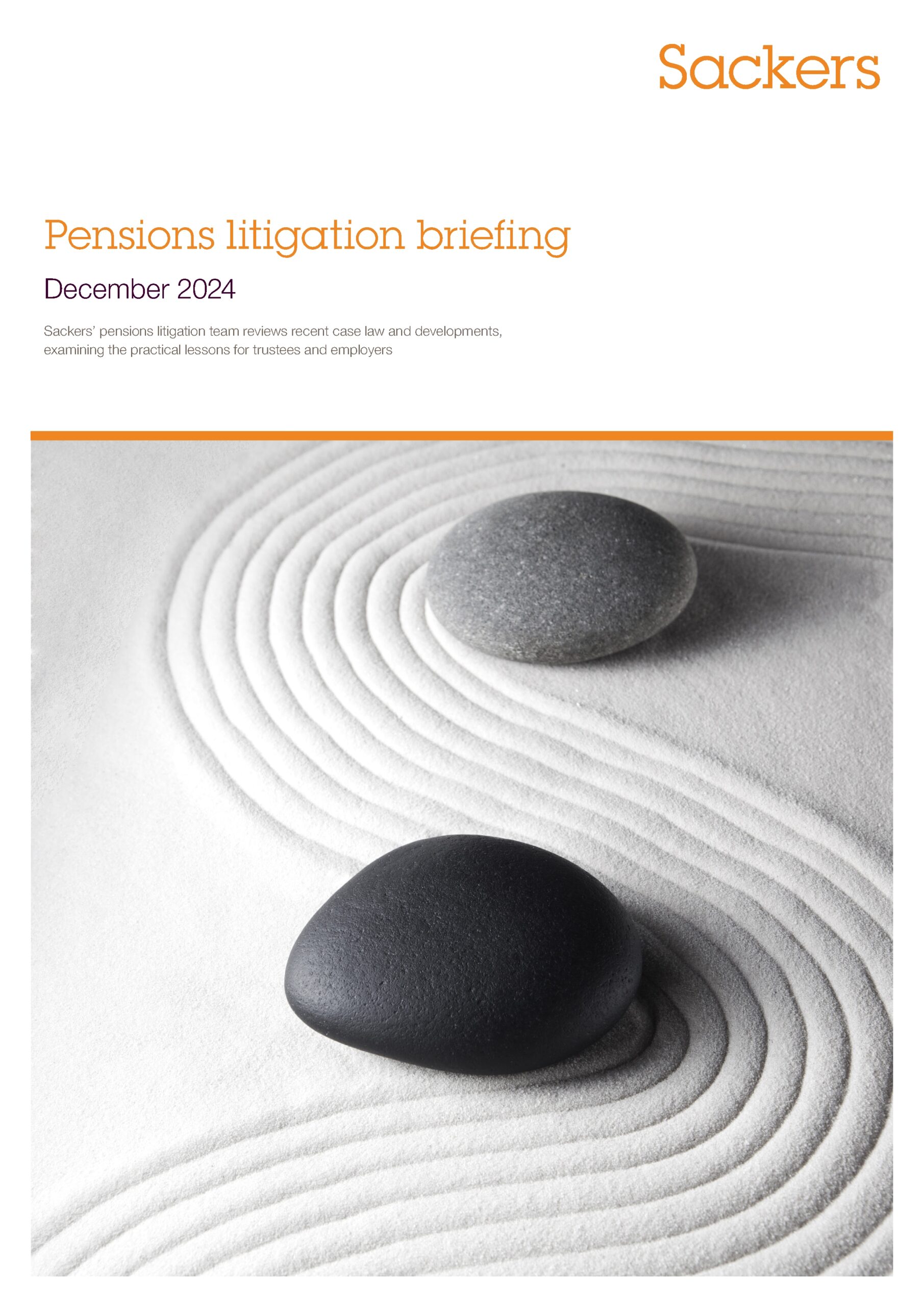 Pensions Litigation briefing