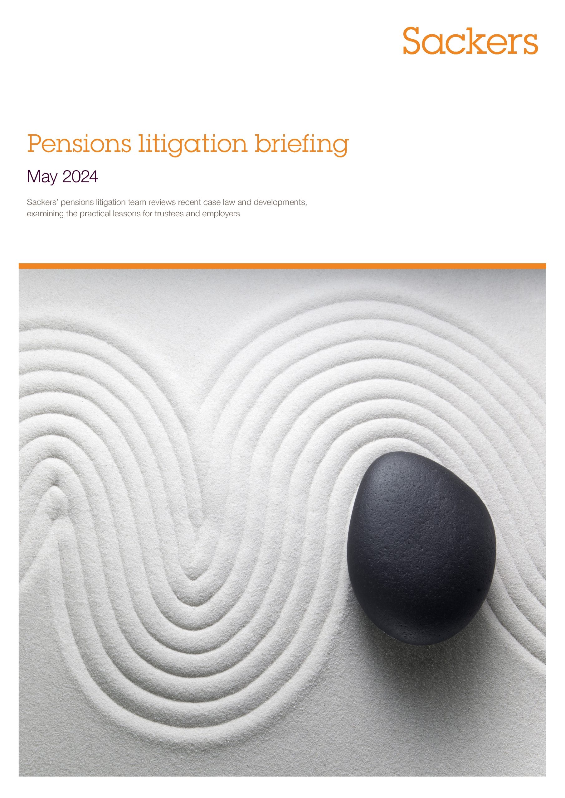 Pensions Litigation briefing